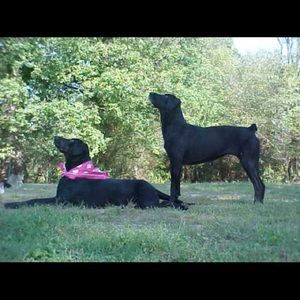 Meet your Posher, Kim